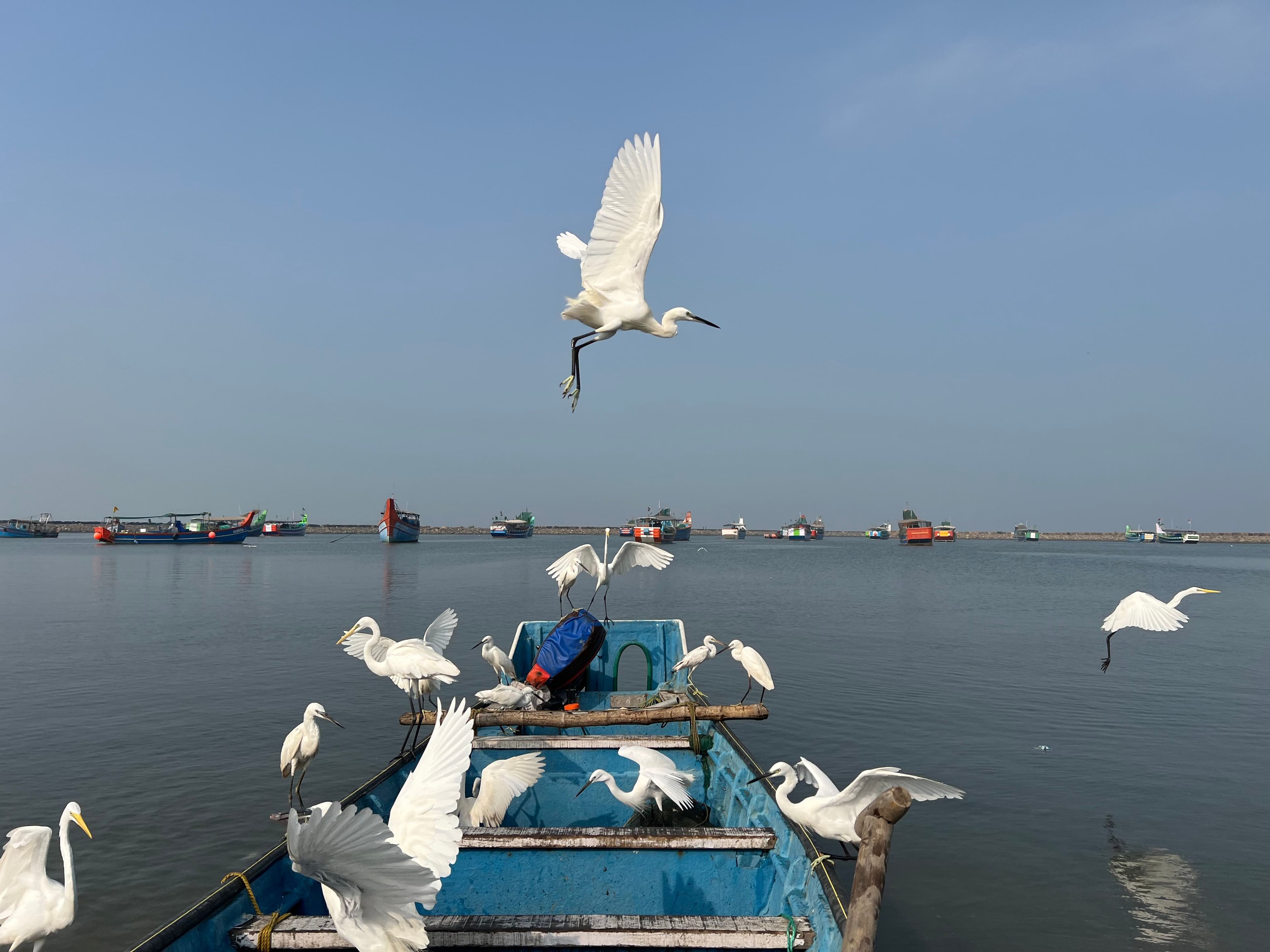Chilika Lake