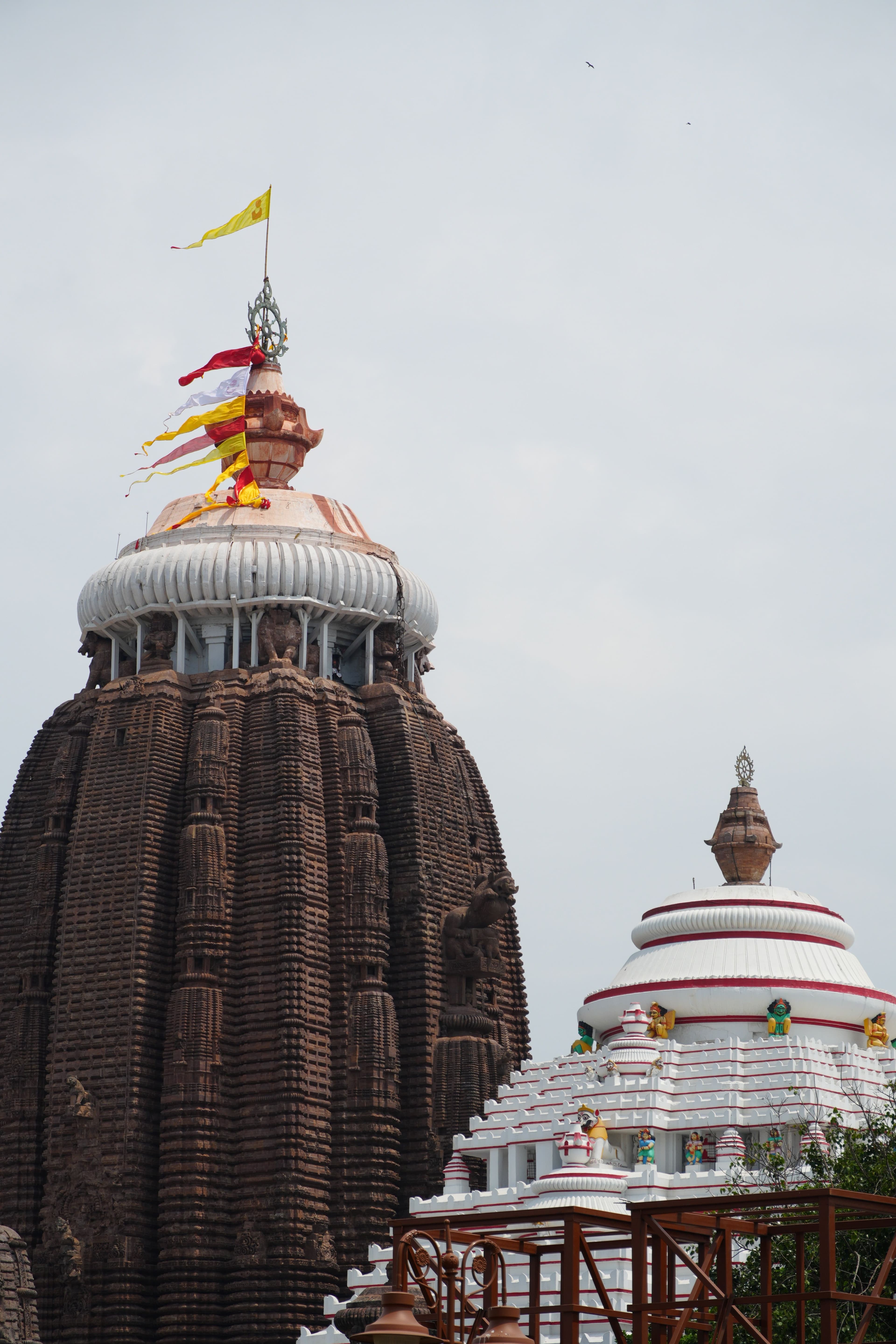 Puri