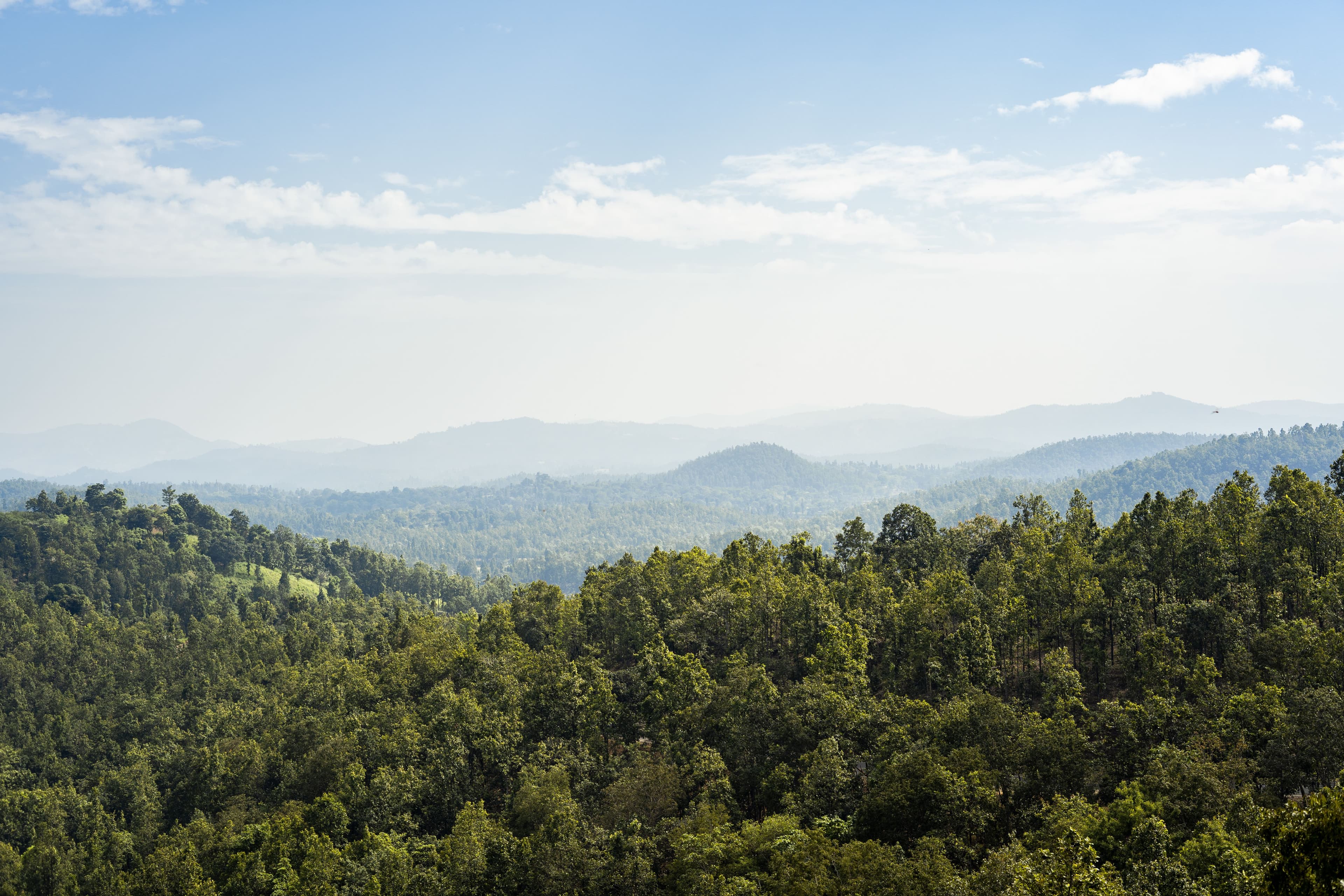 Daringbadi